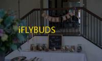 iFLYBUDS